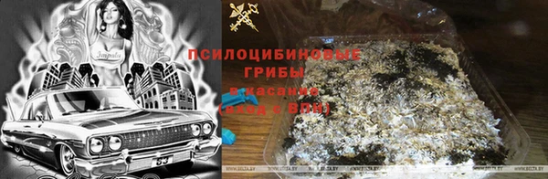 мдма Горнозаводск