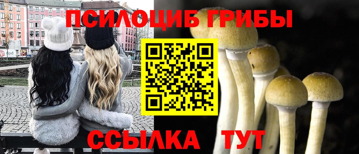 Галлюциногенные грибы прущие грибы Южноуральск