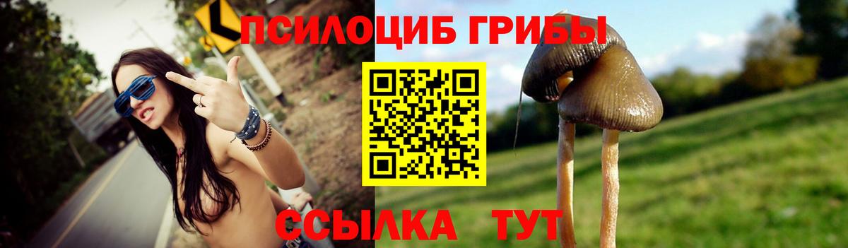 Галлюциногенные грибы прущие грибы  Вход с VPN  Южноуральск 